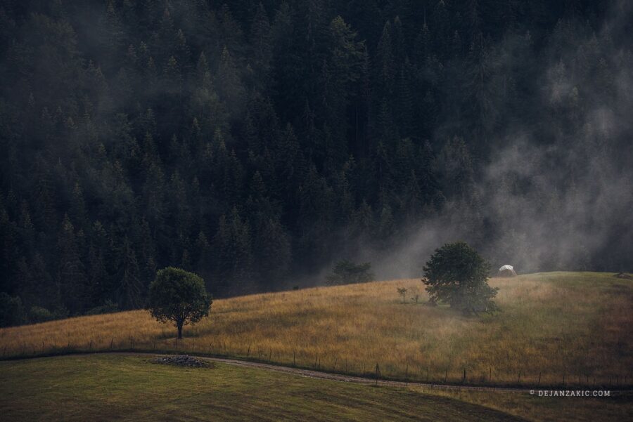 Photograph of nature by Dejan Zakić