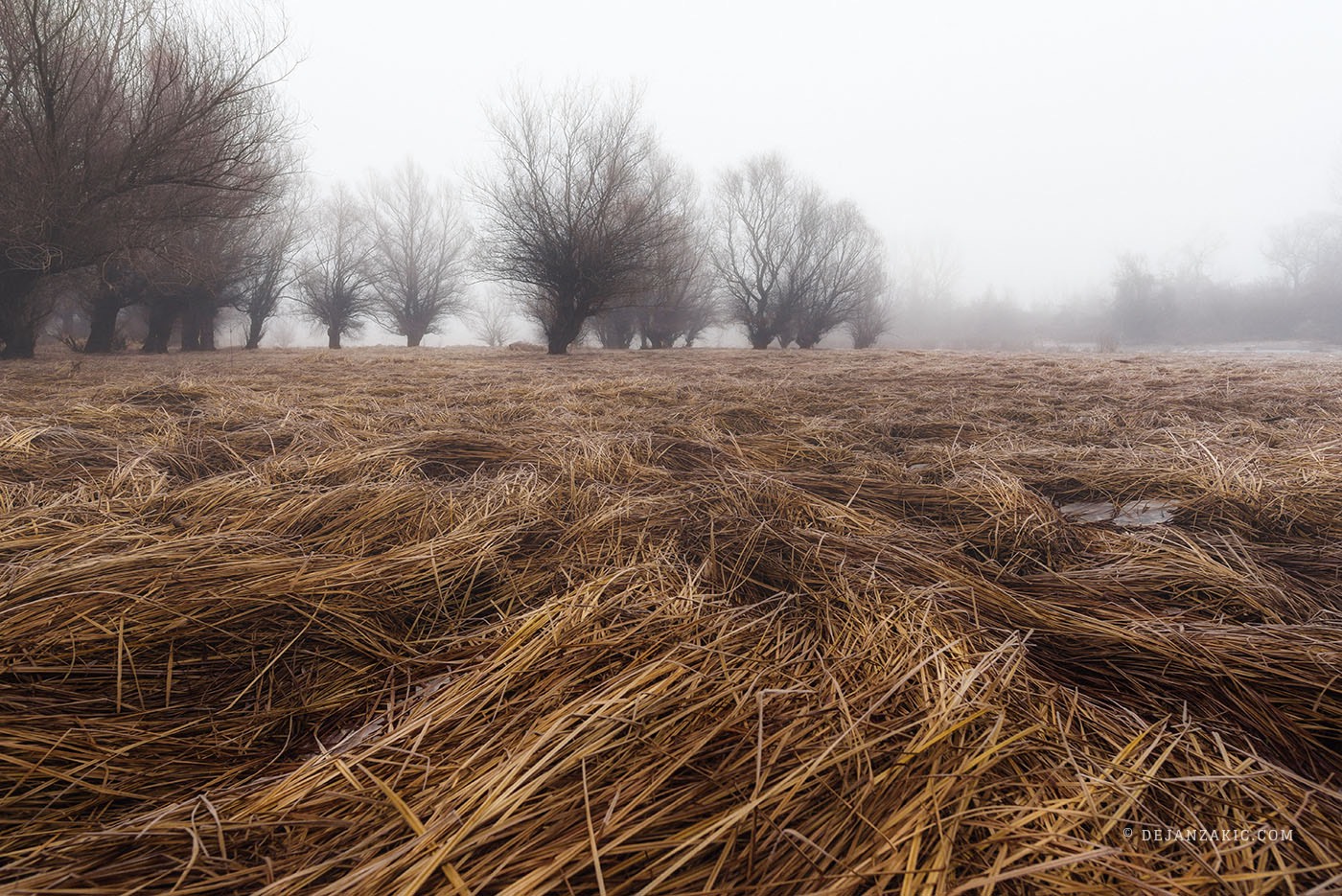 Photograph of nature by Dejan Zakić