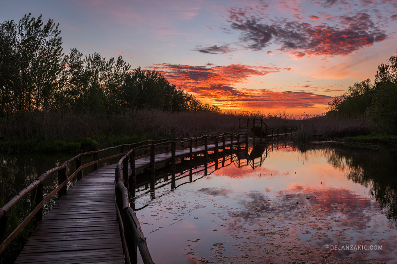 Photograph of sunrise & sunset and water by Dejan Zakić