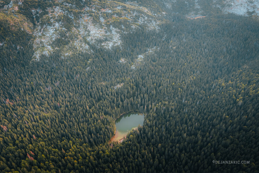Photograph of forest and water by Dejan Zakić