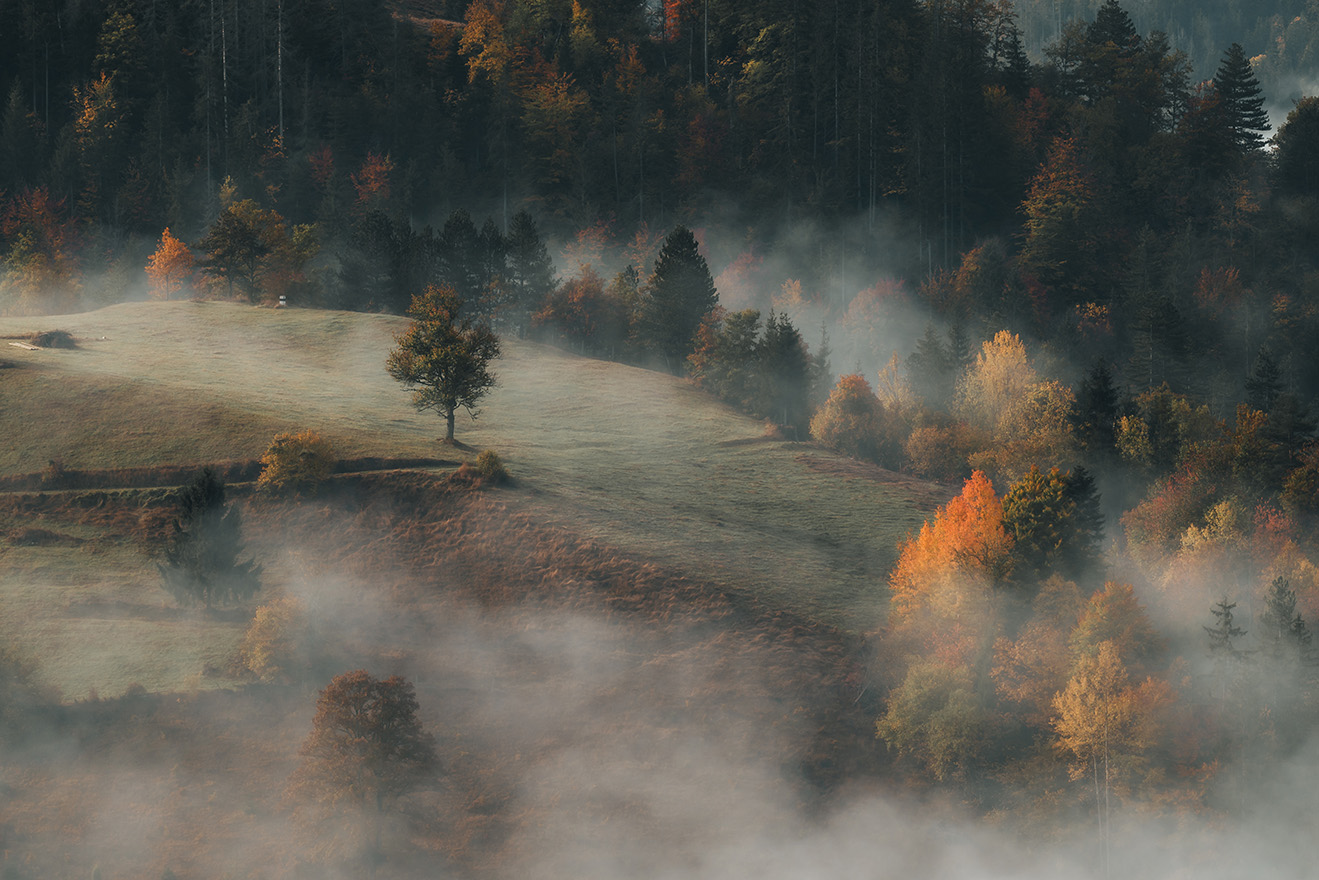 Misty mountain landscape with forested hills and warm evening light